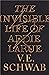 The Invisible Life of Addie LaRue by V.E. Schwab