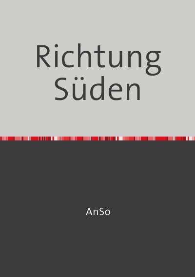 Richtung Süden (German Edition)