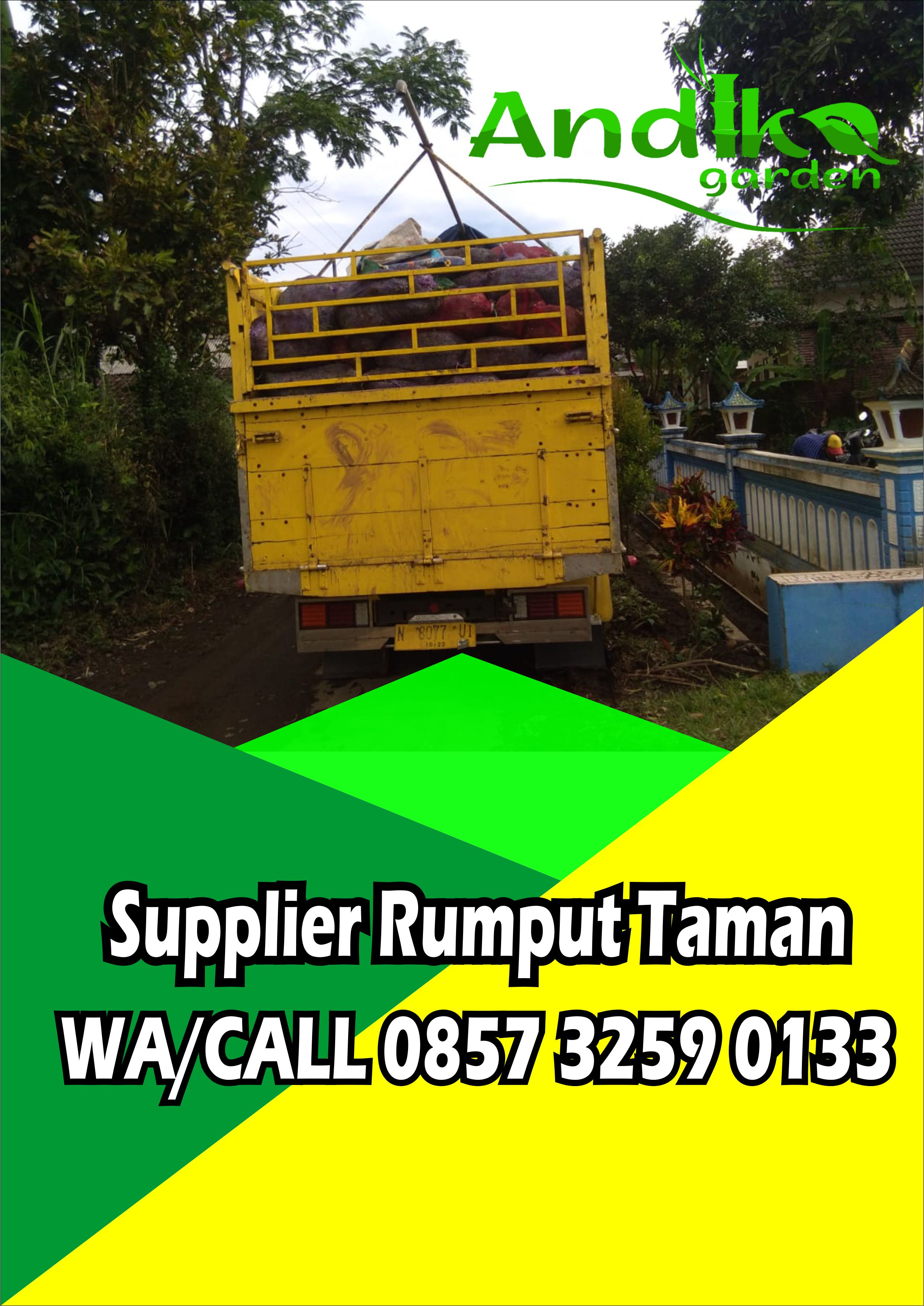 Jual Rumput Taman Dan Harganya, WA +62 857 3259 0133, - ANDIKA GARDEN