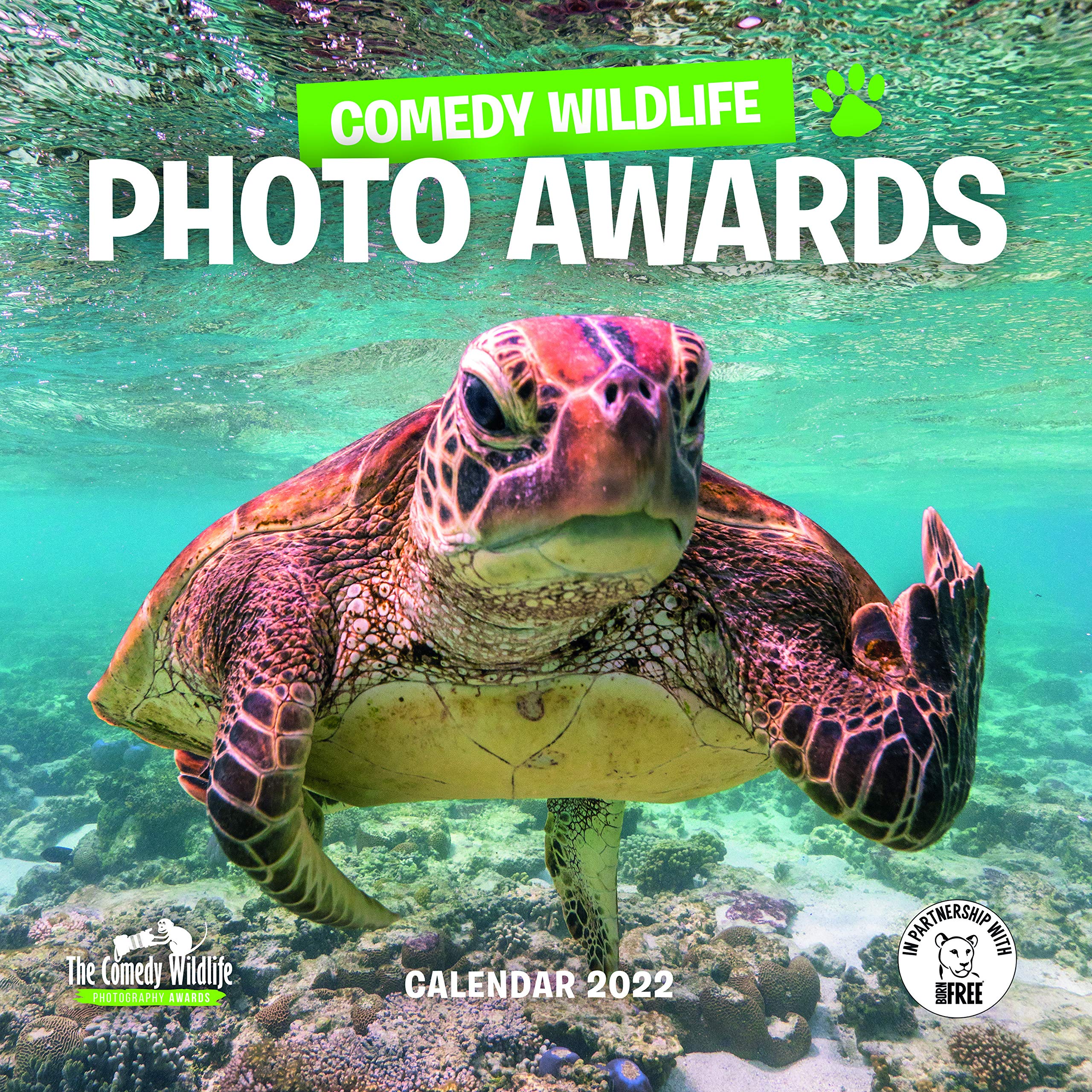 Awrsd Calendar 2022 Comedy Wildlife Photography Awards 2022 Wall Calendar By Comedy Wildlife  Photography Awards