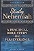 Study Nehemiah: A Practical Bible Study on Perseverance (Study and Obey)