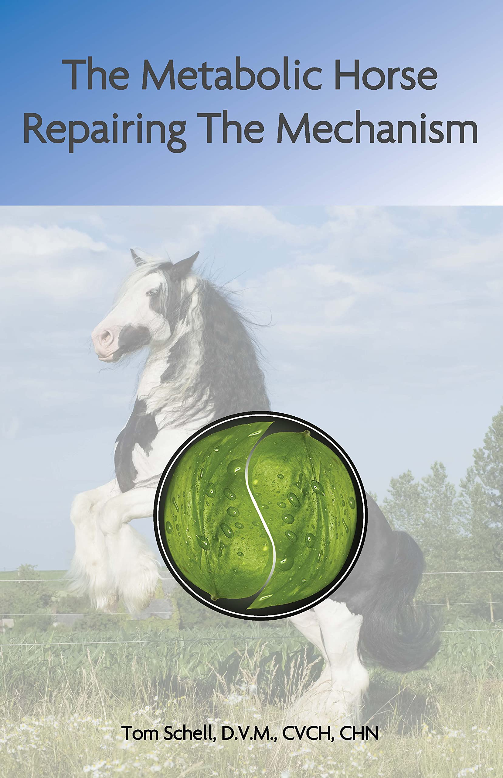 The Metabolic Horse: Repairing the Mechanism (Kindle Edition)