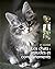 Les chats : attitudes et comportements