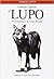 Il lupo