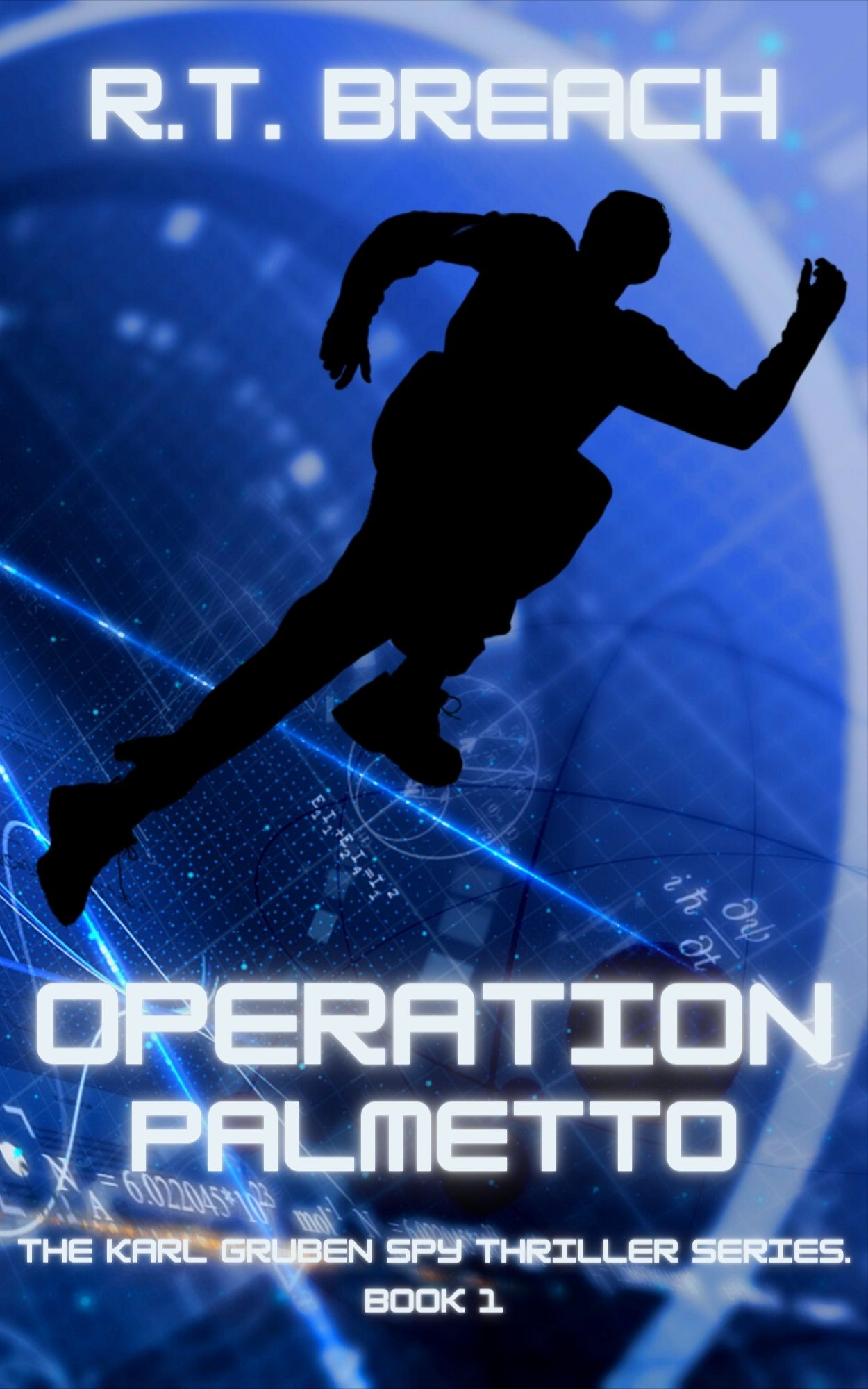 Operation Palmetto