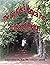 The Big Kid's Magical Path to Insects in Nature by E. Jean Simpson