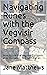 Navigating Runes with the Vegvisir Compass: How to use the Vegvisir Compass as a Divination Tool with Runes