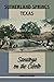 Sutherland Springs, Texas: Saratoga on the Cibolo (Volume 2) (Texas Local Series)