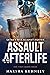 Assault On The Afterlife: S...