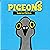 Pigeons