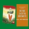 PALING SUPER, Call 0811-3655-622, Benih Jagung Hibrida Umur Pendek Soebandi Raja