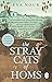The Stray Cats of Homs