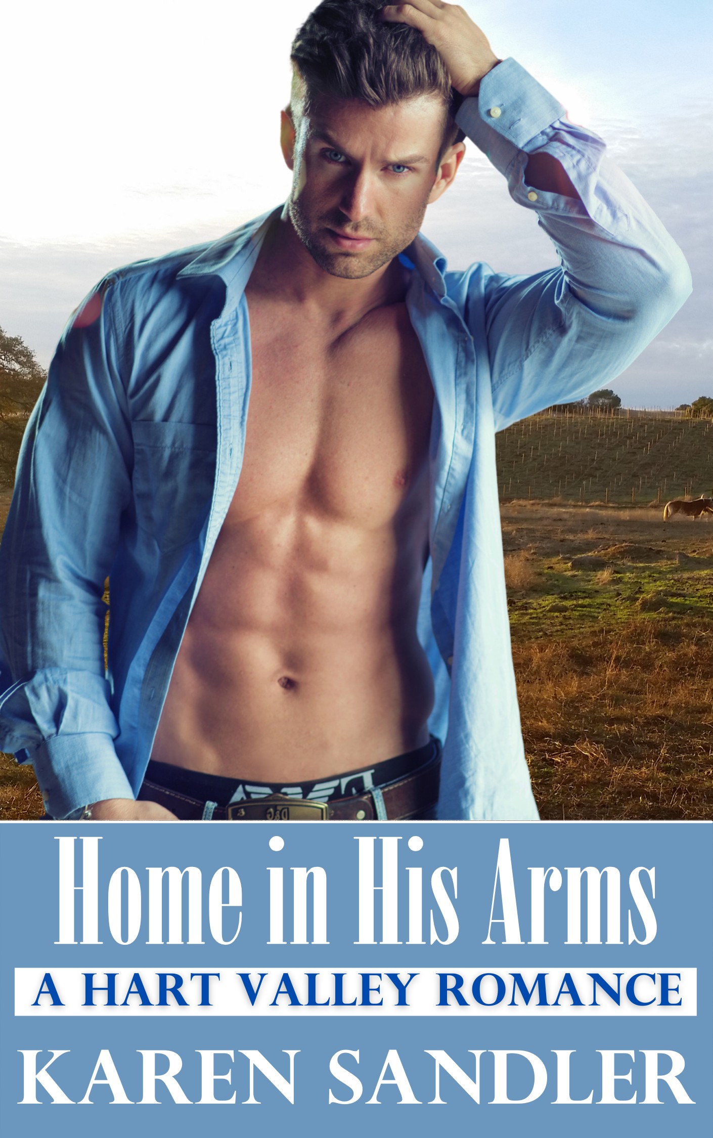 Home in His Arms (Hart Valley Book 1)