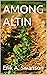 AMONG ALTIN