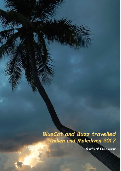 BlueCat and Buzz travelled Indien und Malediven 2017