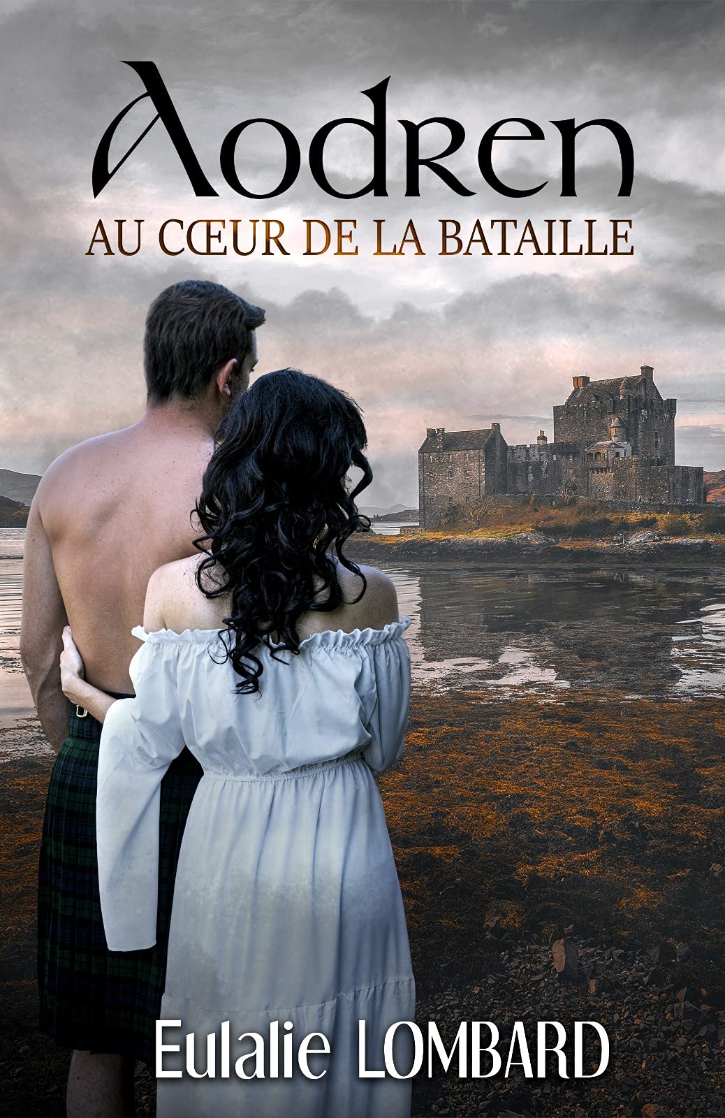Au cœur de la bataille: 1 - Aodren (French Edition)