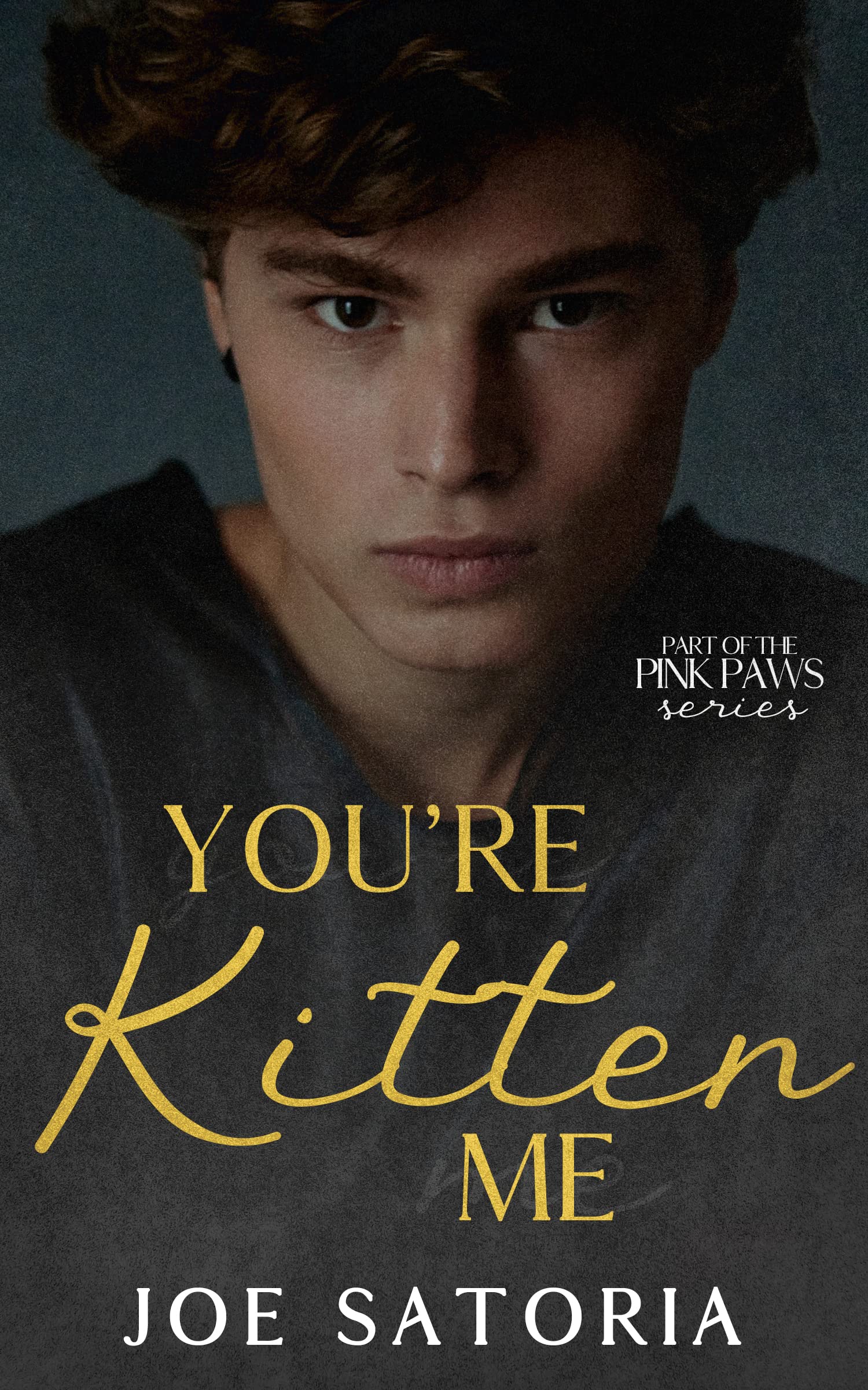You're Kitten Me (Pink Paws #3)