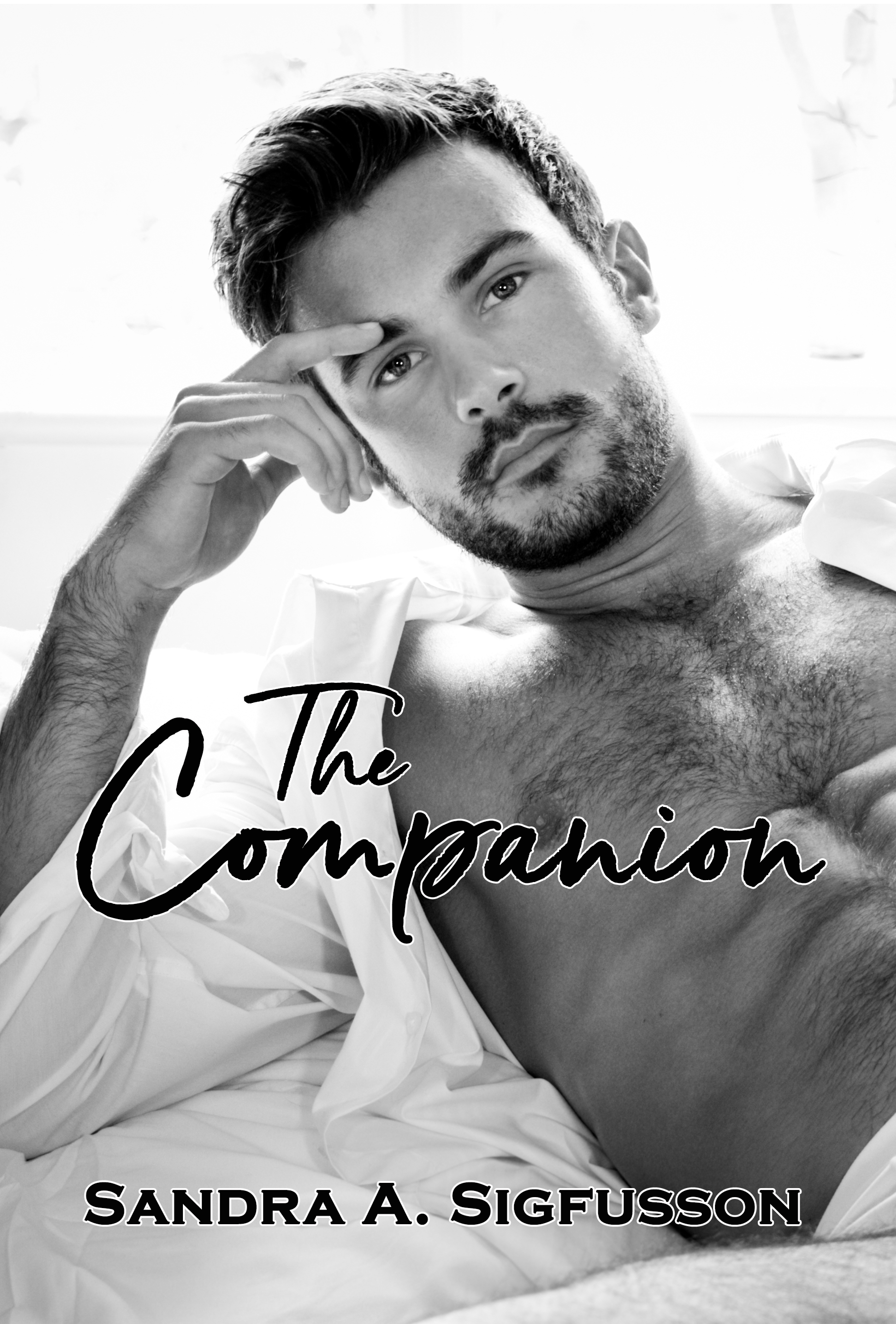 The Companion
