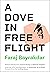 A Dove in Free Flight