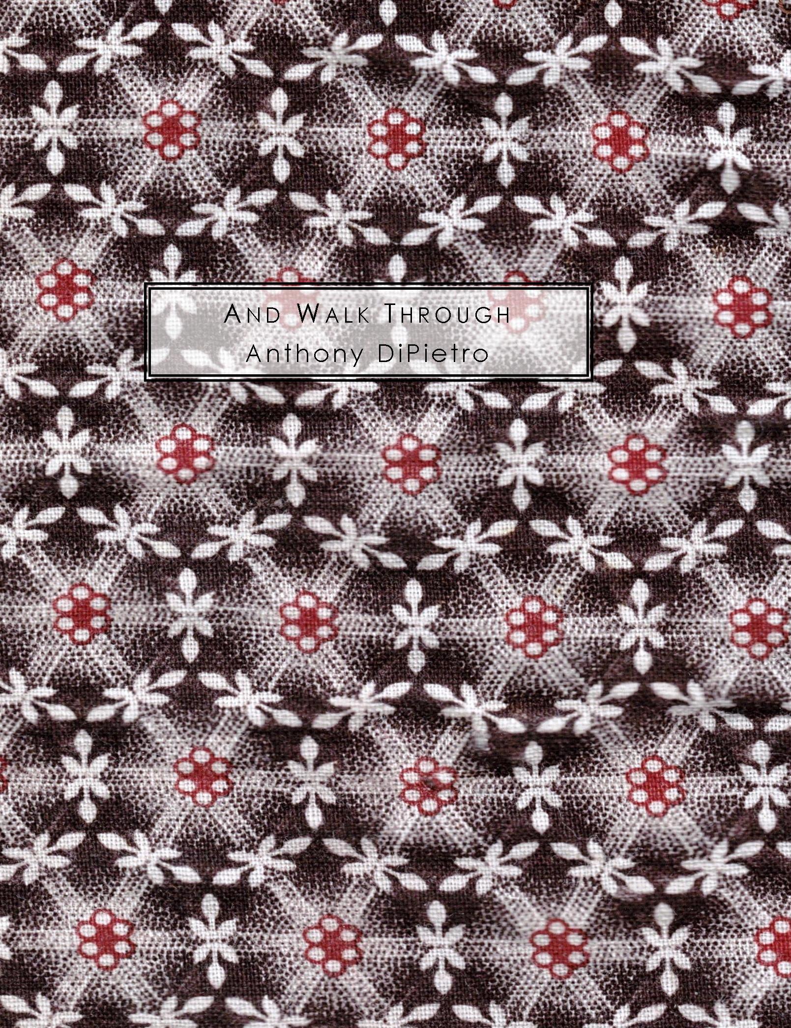 And Walk Through (Summer Kitchen Series, #9.02)
