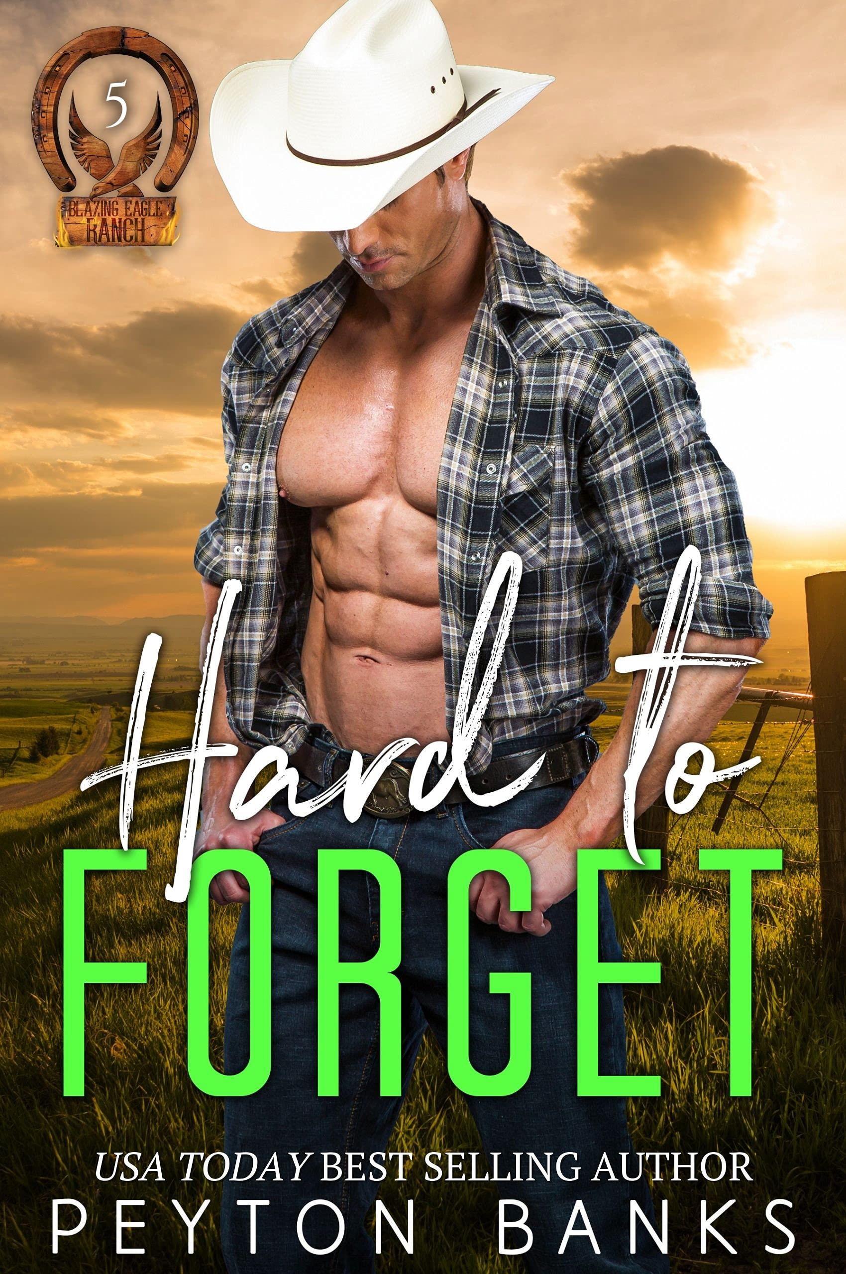 Hard to Forget (Blazing Eagle Ranch Book 5)