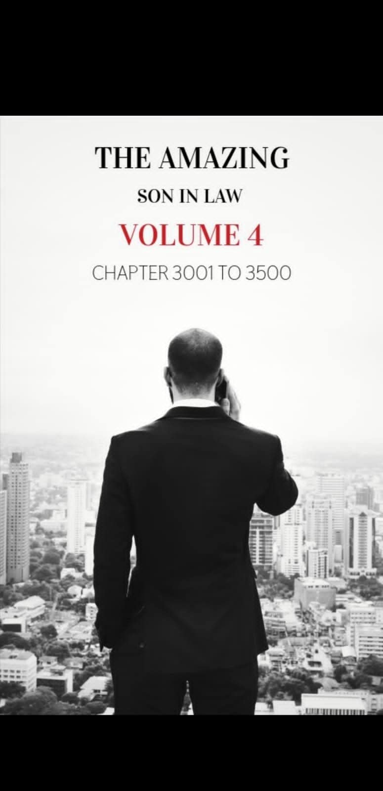 The Amazing Son In Law (Volume 4)
