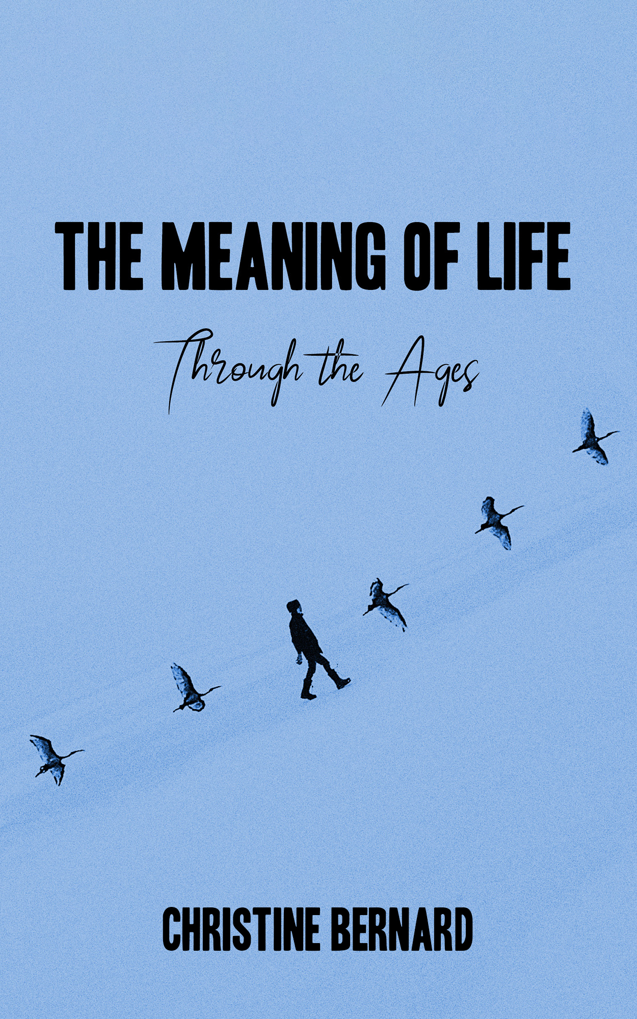 The Meaning of Life - Through the Ages