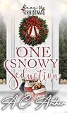 One Snowy Seduction by A.C. Arthur