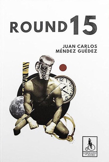Round 15 (Paperback)
