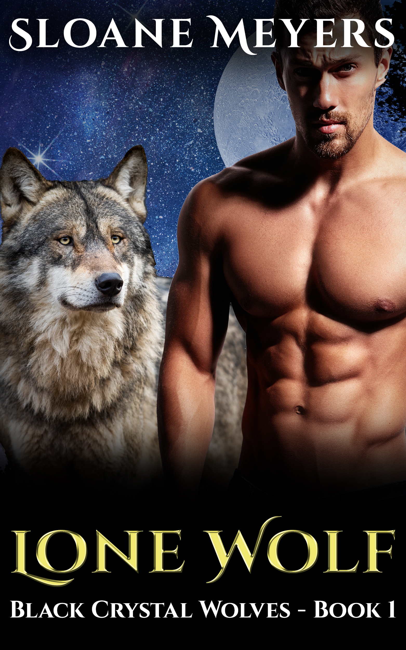 Lone Wolf (Black Crystal Wolf Shifters, #1)