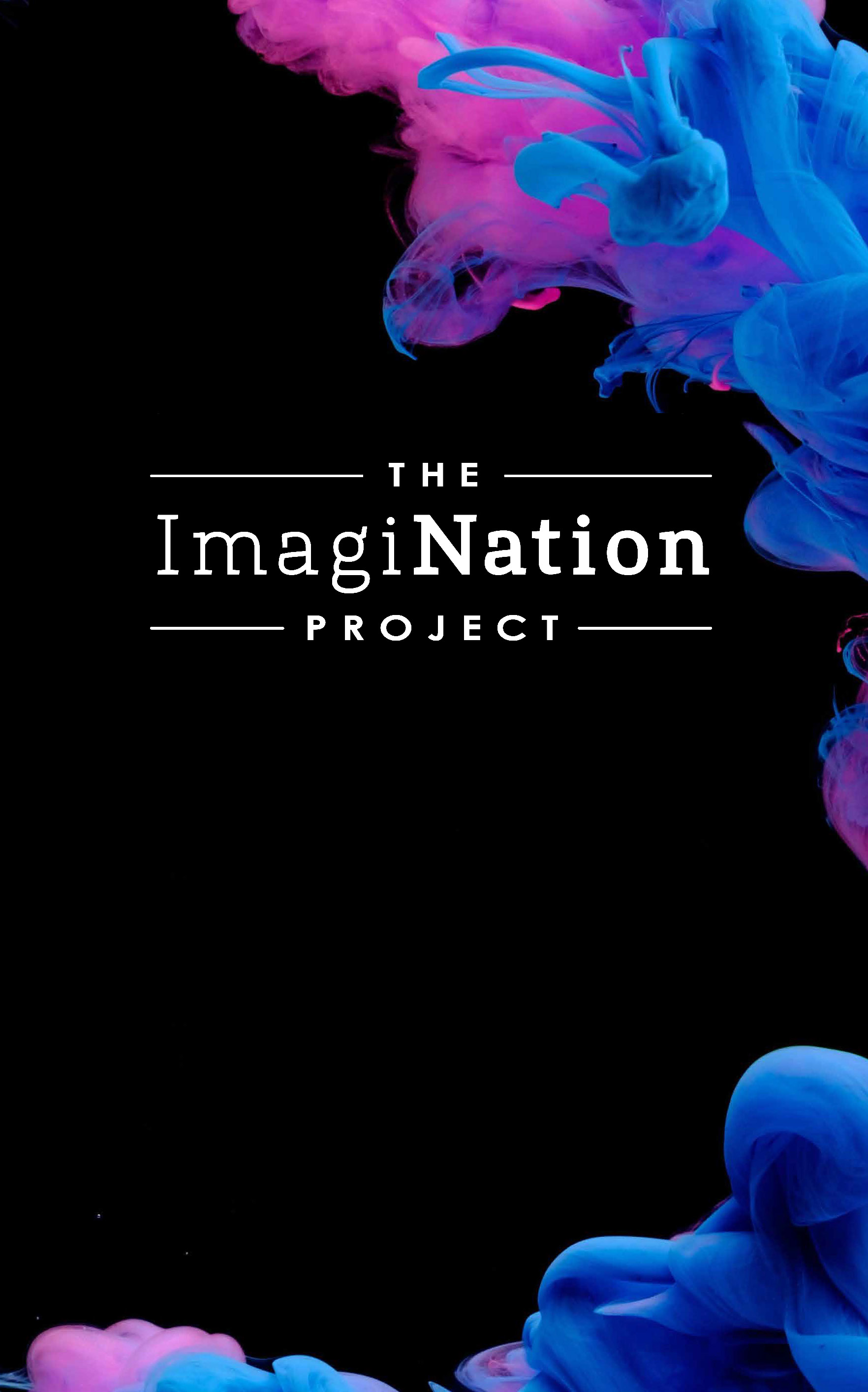 The ImagiNation Project