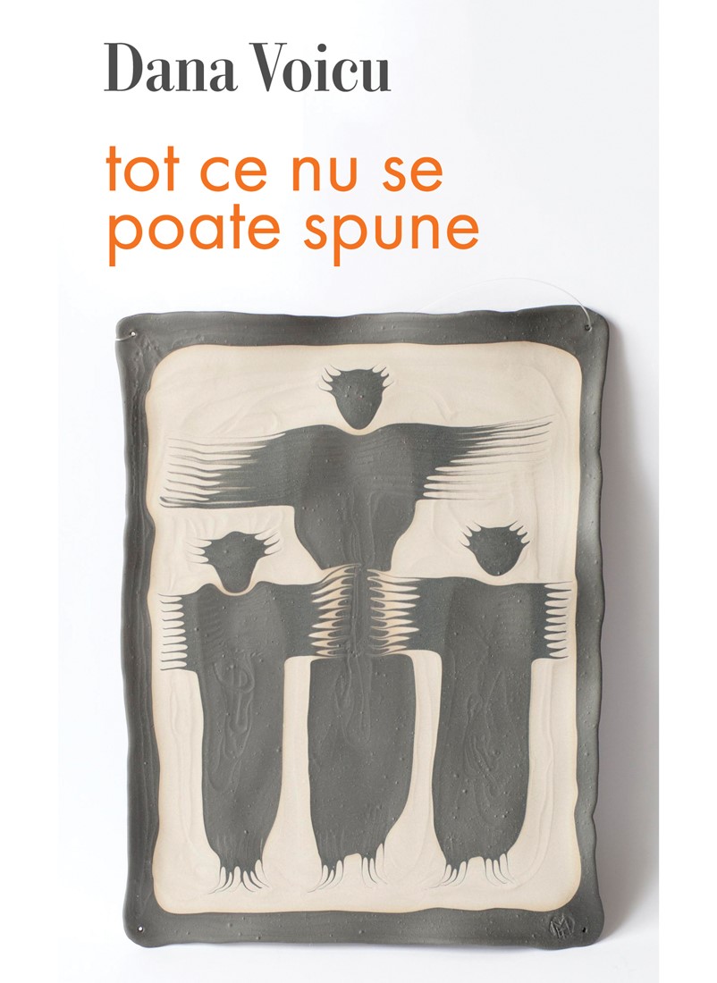 Tot ce nu se poate spune