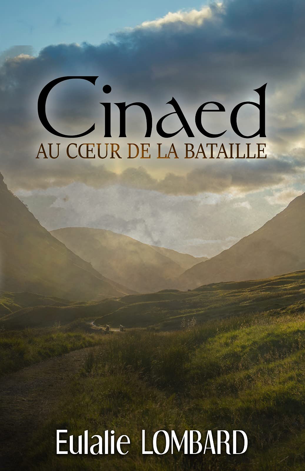 Au cœur de la bataille: 2 - Cinaed (French Edition)