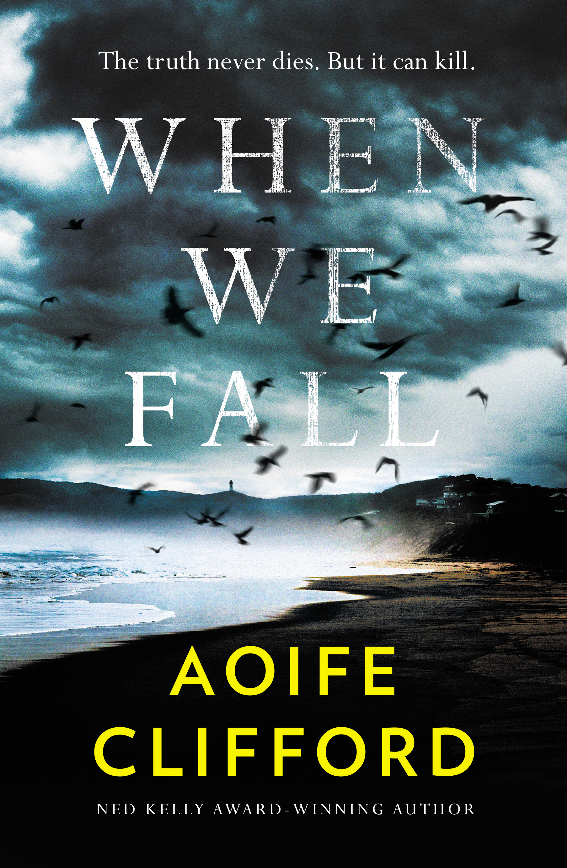 When We Fall (Paperback)