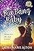 Big Bang Baby (SEAL Team: H...