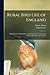 Rural Bird Life of England:...