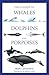 Field Guide to Whales, Dolphins and Porpoises by Mark Carwardine