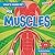 My Muscles