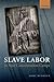 Slave Labor in Nazi Concentration Camps