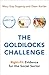 THE GOLDILOCKS CHALLENGE