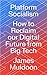 Platform Socialism: How to Reclaim our Digital Future from Big Tech