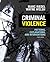 Criminal Violence: Patterns, Explanations, and Interventions