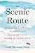 The Scenic Route: Embracing the Detours, Roadblocks, and Unexpected Joys of Raising an Autistic Child