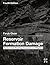 Reservoir Formation Damage:...