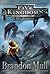 Sky Raiders (Five Kingdoms, #1)