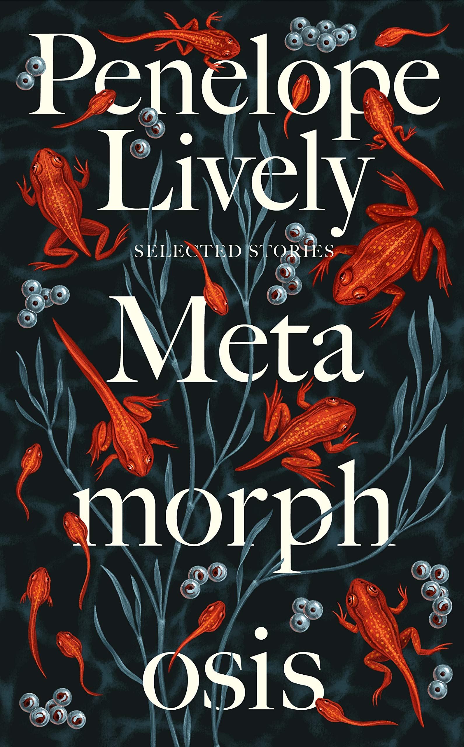 Metamorphosis (Hardcover)