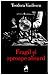 Fragil și aproape absurd by Teodora Vasilescu