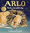 Arlo the lion who couldn’t sleep by Catherine Rayner