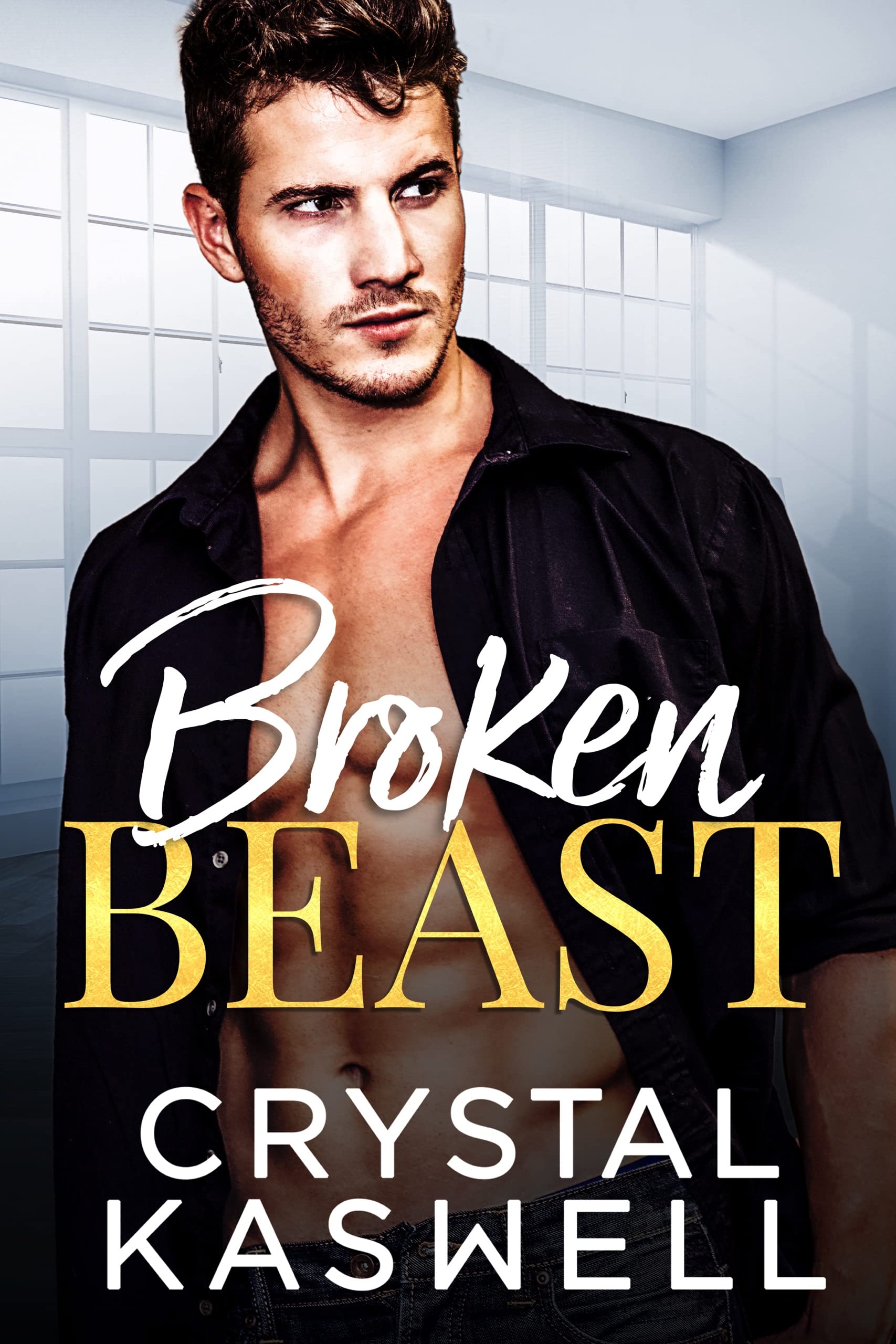 Broken Beast (The Pierce Family, #1)