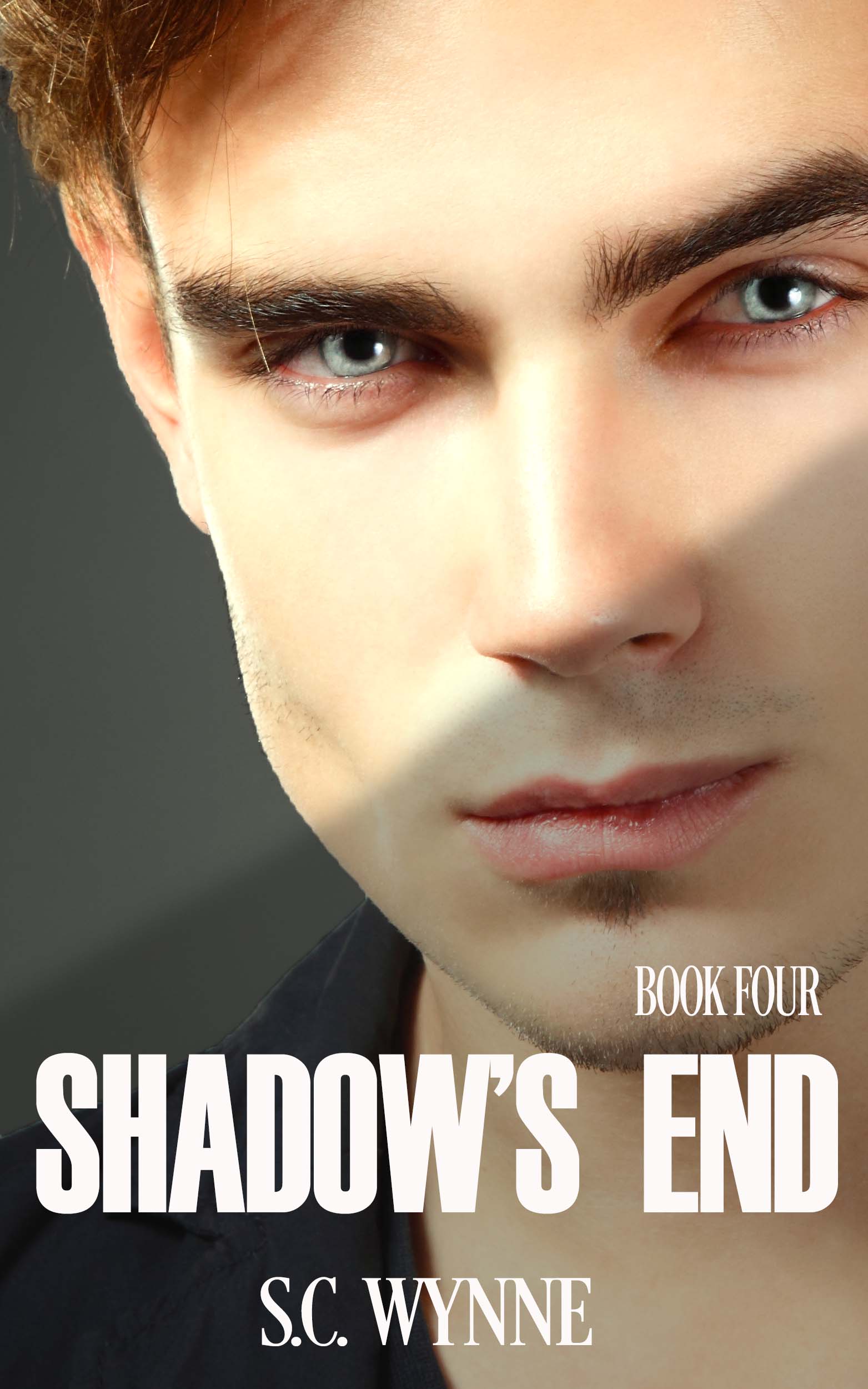 Shadow's End (Psychic Detective Mysteries #4)